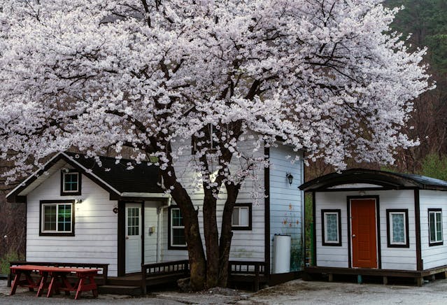 Tiny houses als antwoord op de stijgende woningprijzen en wooncrisis